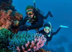 lob__scubadivingmag.march.jpg.webp