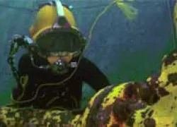 ocean-corp-cde-thumb.jpg.webp