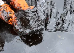 oil-spill-shutterstock-signature-message.jpg.webp