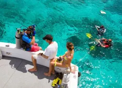 open-water-checkout.jpg.webp