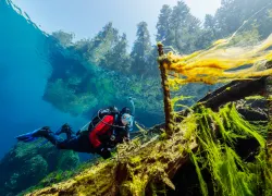 oregon.mossywreck.brandoncole.scubadivingmagazine.jpg.webp