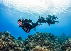 padi-club-join-now-scu-.jpg.webp