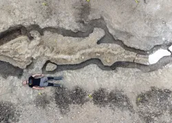 person-with-fossil-outline.jpeg.webp