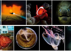 photo-contest-hero.jpg.webp