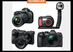quicklooks-march-scuba-gear.jpg.webp