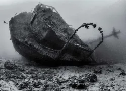 rs_am-_bw.jpg.webp