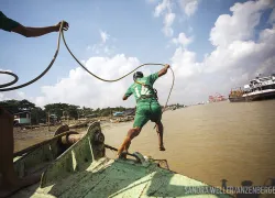 scd_seastories_.jpg.webp