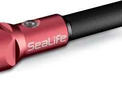 scd_gg_accessories_lights_sealife_gtsl-sea-dragon-s.png.webp