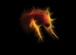 scu--look-dragos-dumitrescu-seahorse.jpg.webp