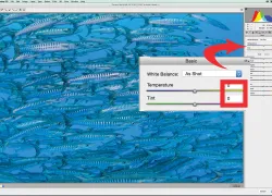 scu-raw-camera-imaging-tutorial.jpg.webp