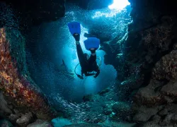 scuba-cayman_shutterstock_.jpg.webp