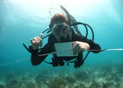 scuba-diving-for-college-credit.jpg.webp