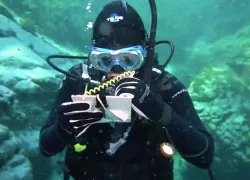 scuba-reg-review.jpg.webp