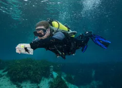scubalab-behind-the-scenes-fin-test.jpg.webp
