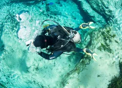 scubalab-dive-regulator-test-teaser.jpg.webp