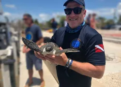 sea-hero-jim-ritterhoff-turtle.jpg.webp
