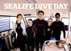 sealife-deerfield-florida-scuba-text.jpg.webp