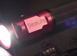 sealife_mini__light_testers_choice_.jpg.webp