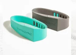 sharkbanz.jpg.webp