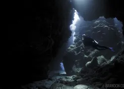 solo_scuba_diving_scd_trav_.jpg.webp