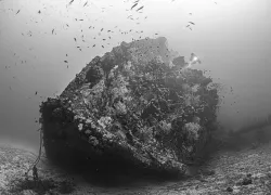 ss-perseus-m-this-ship-was-sunk-by-legendary-sms-wolf-in-ww_edit.jpg.webp