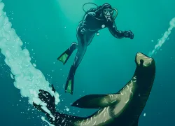 stellar-sea-lion-teaser.jpg.webp