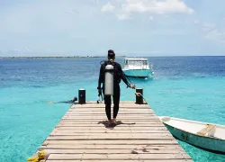 stephanie-buddy-dive-dock-credit-james-barrett.jpg.webp