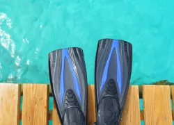 sustainable-diving-teaser-shutterstock_.jpg.webp