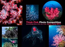think_pink_photo_contest.jpg.webp