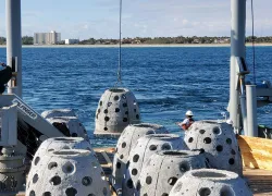 topside-reef-ball-deployment-courtesy-no-shoes-reefs-reef-ball-foundation.jpg.webp