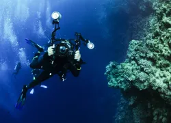underwater-photographer-scuba-shutterstock-jonmilnes.jpg.webp