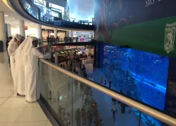 unique-cert-location-dubai-mall-dive.jpg.webp