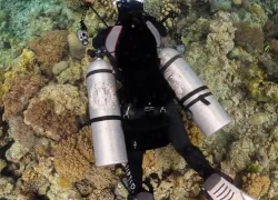 veloceanunderwater_.jpg.webp