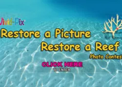 vivid-pix-pressrelease-thumbnail.jpg.webp