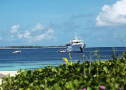 wakatobi-dive-resort.scubadivingmagazine.june.jpg.webp