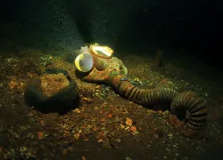 war-wrecks-.jpg.webp