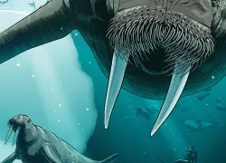 what_its_like_to_dive_with_walrus_teaser.jpg.webp