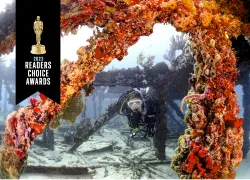 worlds-best-diving-destinations-teaser.png.webp