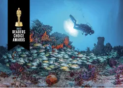 worlds-best-diving-results-teaser.png.webp