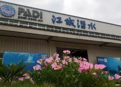wuhan-diving-web.jpg.webp