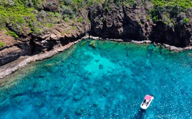 Confetti-Bay C-Mauritius_edit.jpg.webp