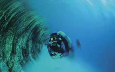 Vertigo_edit.jpg.webp