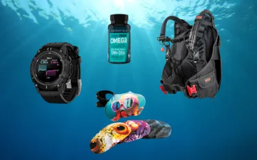best dive gear august .png.webp
