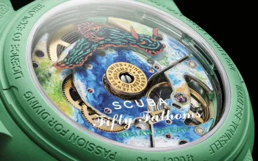 sc__indian_ocean_SOI_close_up_back_edit.jpg.webp