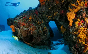 _cozumel_.jpg.webp