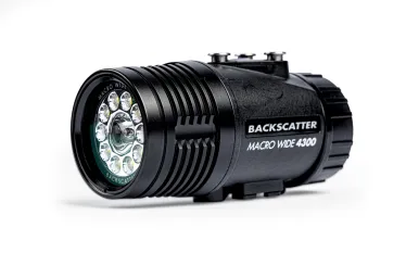 backscatter_macro_wide_.scubadivingmag.septoct..jpg.webp