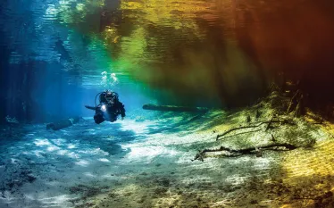 dive-orlando.jpg.webp