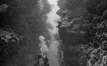 divewothedrive.jenniferpenner.scubadivingmag.august.jpg.webp