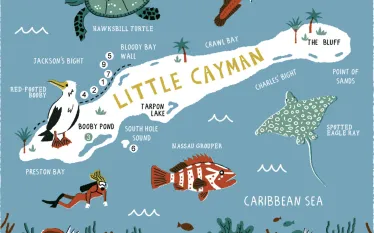 little-cayman-scuba-magazine.jpg.webp