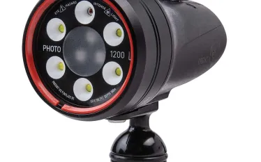 photo-with-ball-mount-light-and-motion.jpg.webp